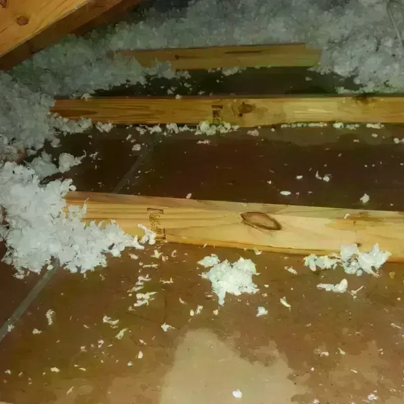 Attic Water Damage in Midway City, CA