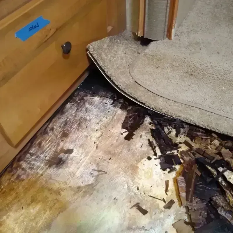 Wood Floor Water Damage in Midway City, CA